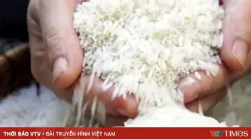 ما الذي ينبغي على الشركات الفيتنامية أن تكون على دراية به؟